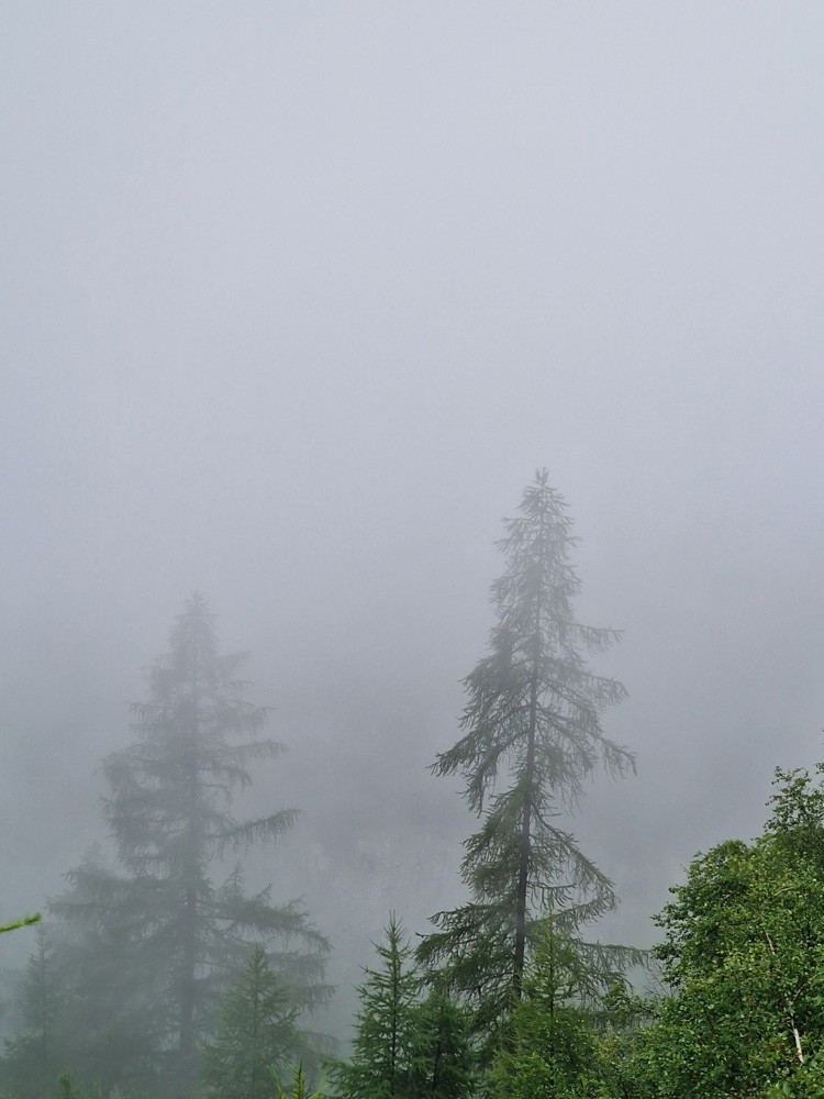 Brouillard