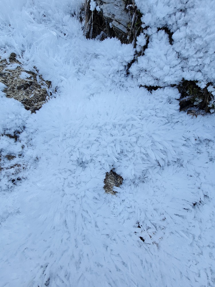 Givre 