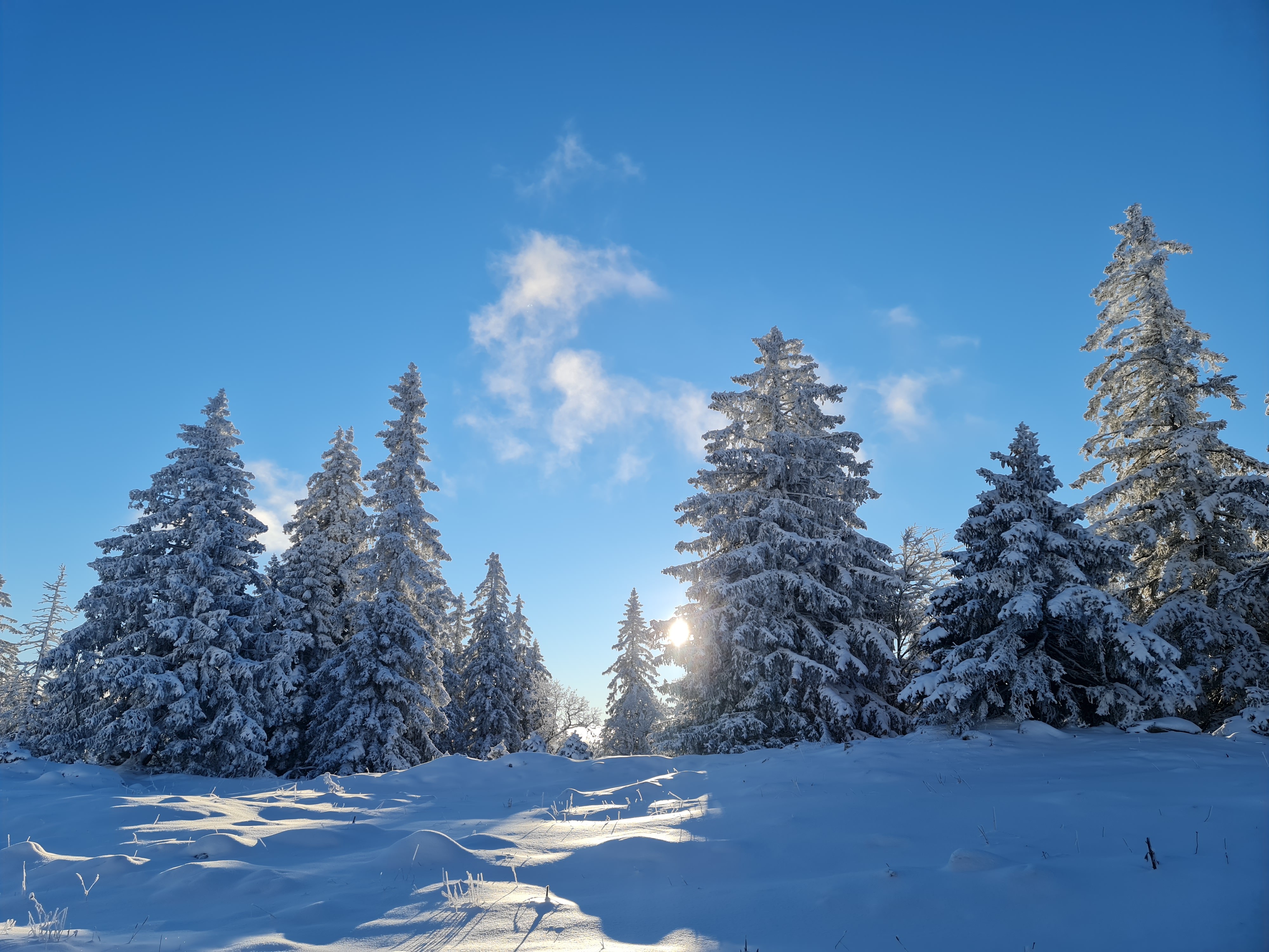 Hiver 