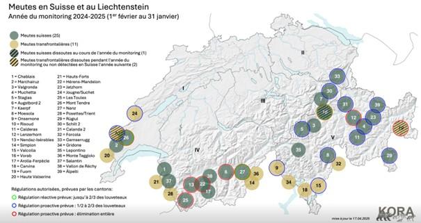 Carte meutes suisses kora janvier 2025