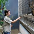 How do you call the practice of training animals to accept care through rewards ?